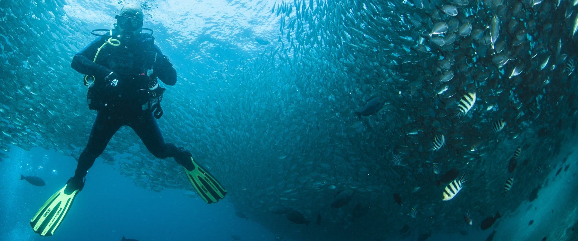 Immersioni subacquee nello Stretto di Dampier