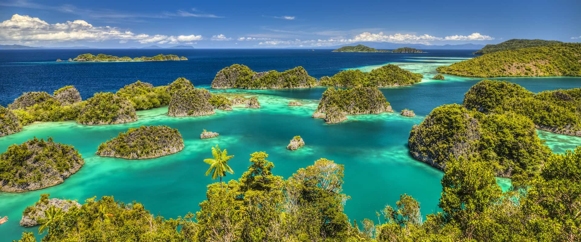 Cruzeiros de Mergulho em Raja Ampat