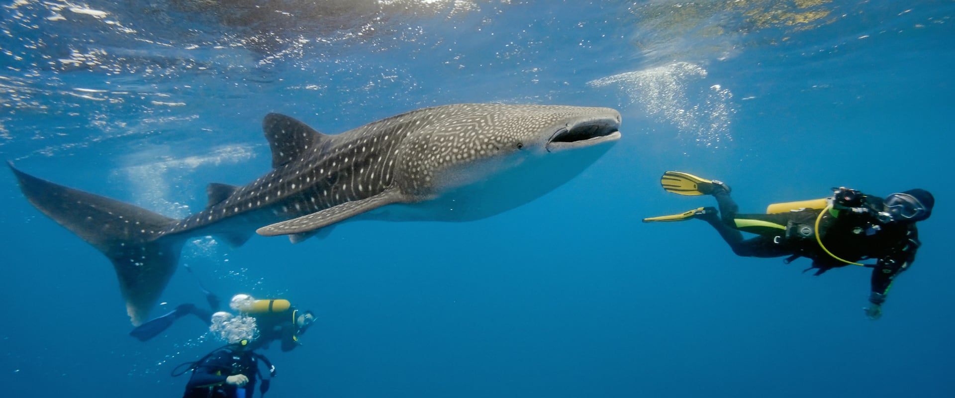 Noonu Atoll Liveaboard Duiken