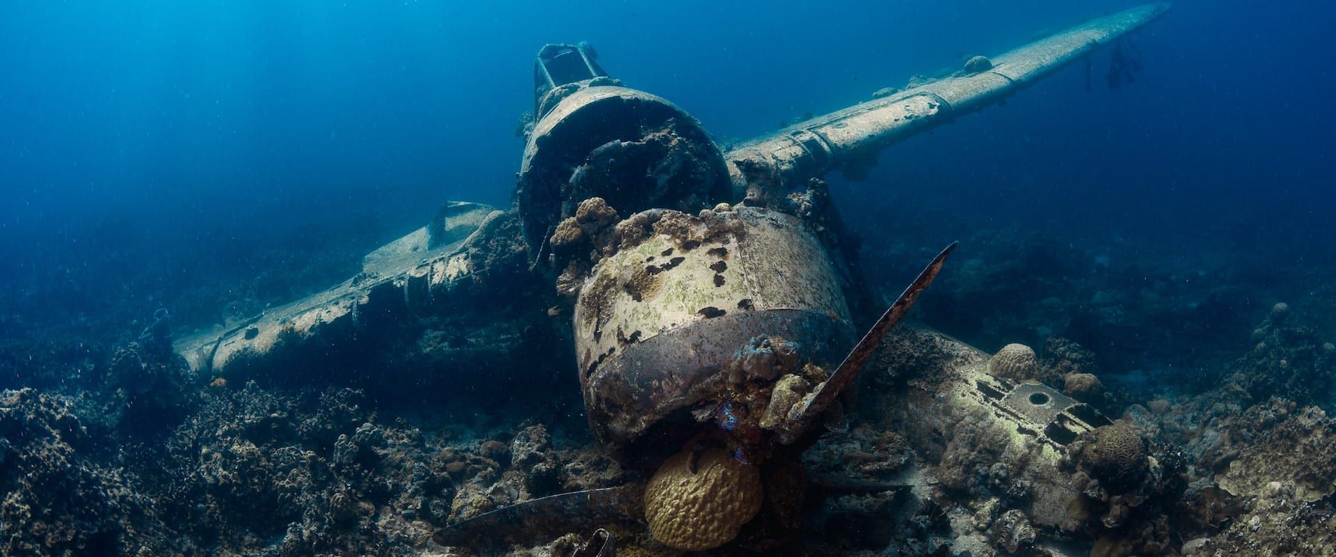 Buceo vida a bordo Koror