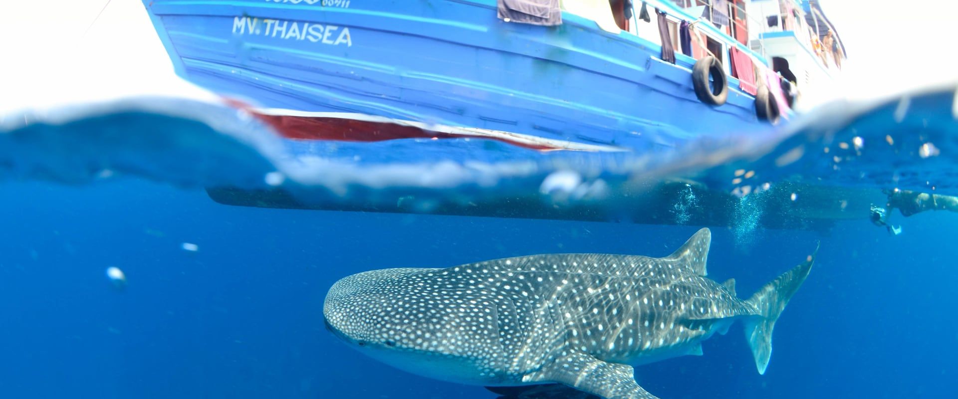Scuba diving in the Mergui Archipelago
