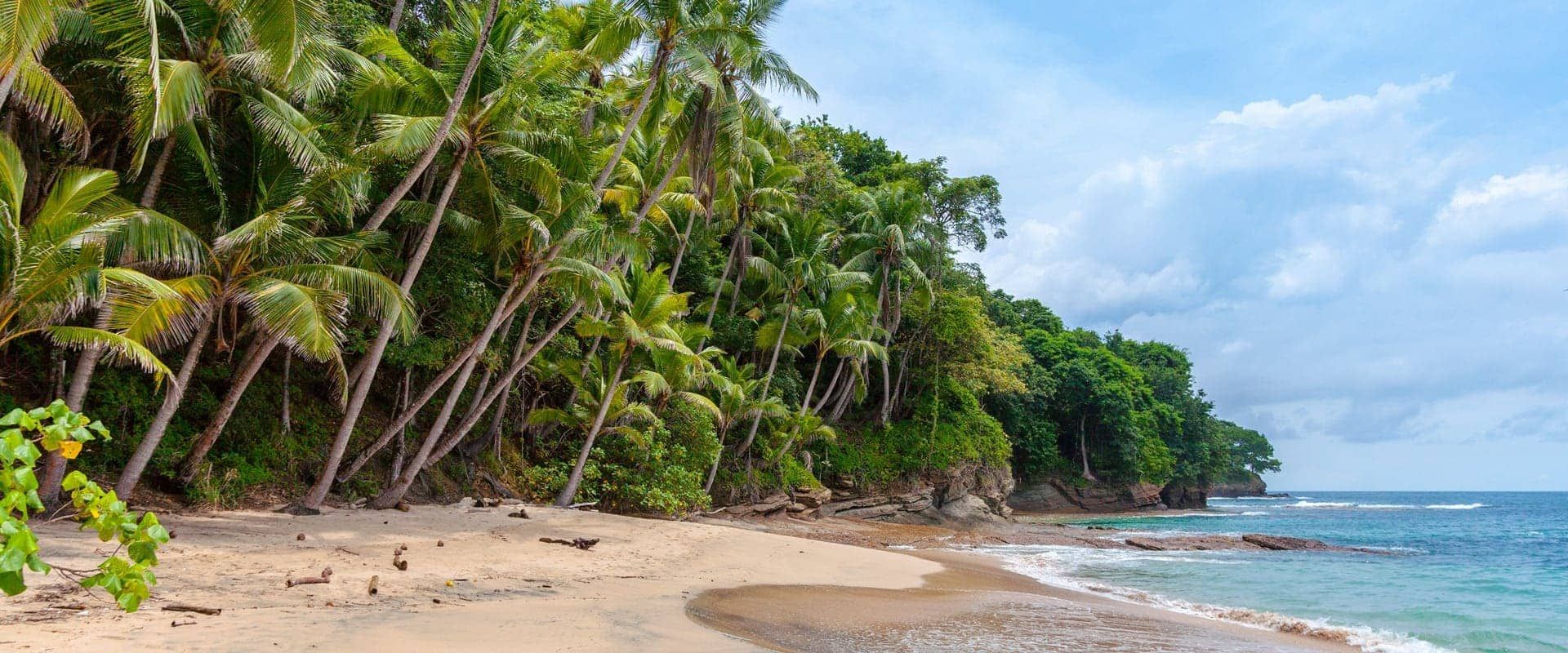 Liveaboards in Panama - LiveAboard.com