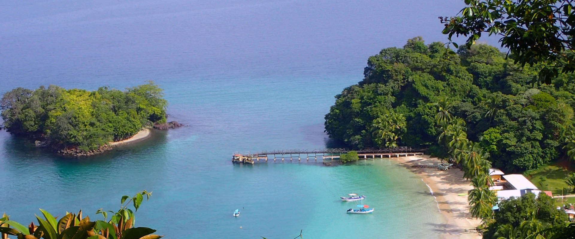 Coiba Island Liveaboard Diving