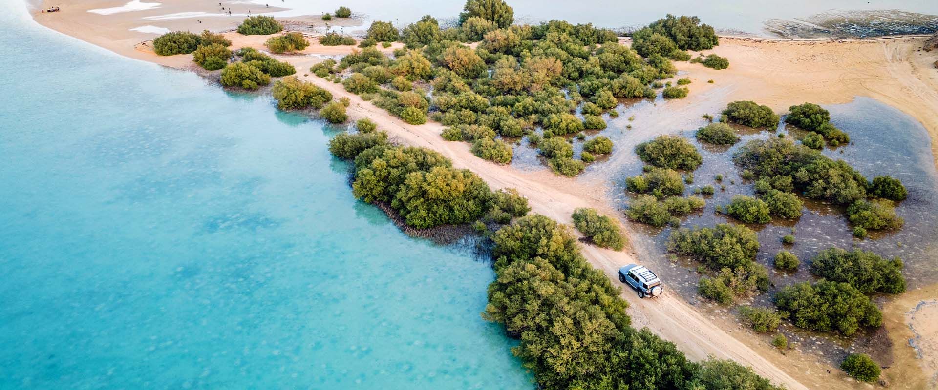 Farasan Island Mergulho Liveaboard