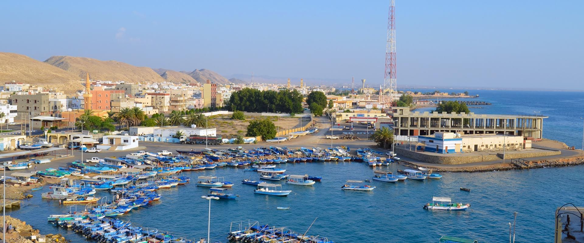 Yanbu Liveaboard Duiken
