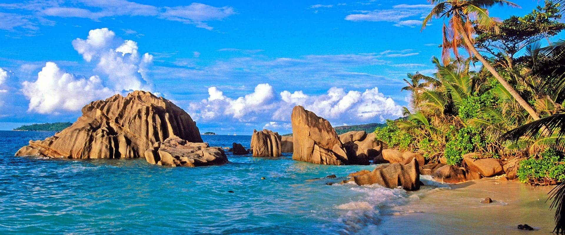 Praslin リブクルーズ ダイビング