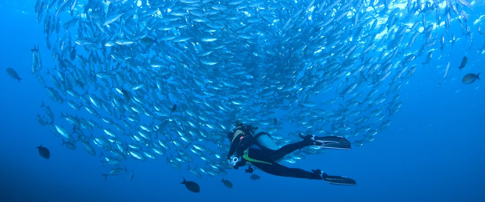 Liveaboards in Solomon islands