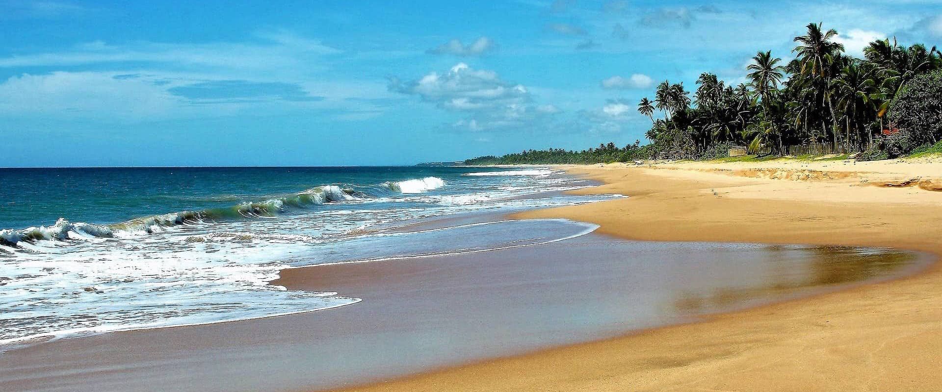 Liveaboards in Sri Lanka - LiveAboard.com
