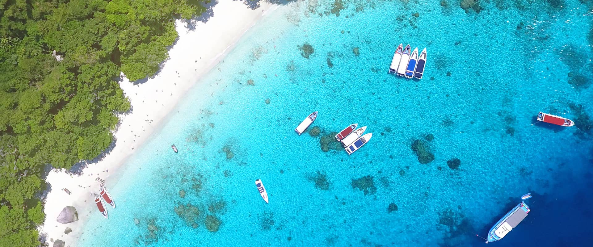 アンダマン海, タイの19ダイブクルーズ - LiveAboard.com