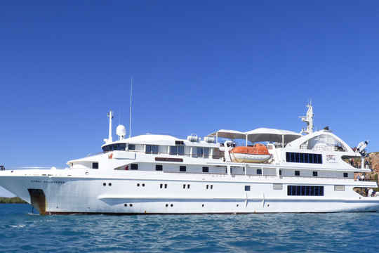 Coral Expeditions Cruise Fleet is based in Australia and conducts tours of the area. Also visiting further away destinations such as Indonesia, West Papua & the Solomon Islands.