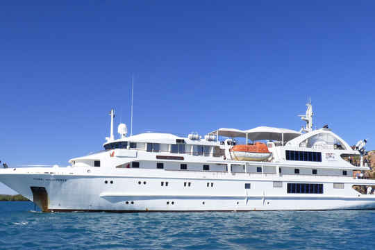 La flota de cruceros Coral Expeditions se encuentra en Australia y realiza viajes por la zona. También visita destinos como Indonesia, Papúa Occidental y las Islas Salomón.