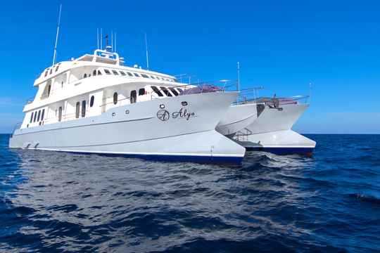 Royal Galapagos Cruises fleet has a wide selection of luxury vessels to take visitors around the amazing Galapagos Islands