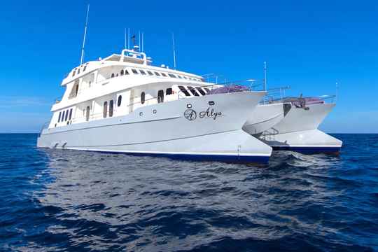 Cruceros Royal Galapagos