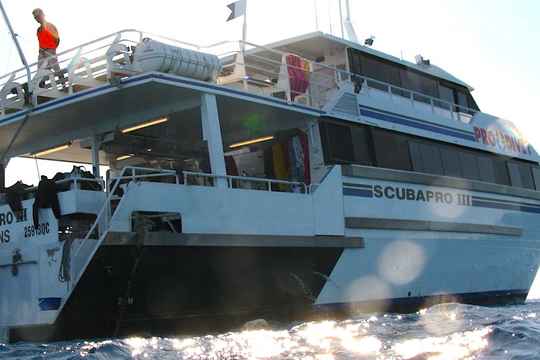 Pro Dive Cairns Liveaboard Fleet