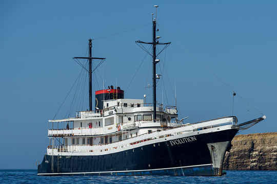Quasar Expeditions Fleet operate adventure cruises for those wishing to visit the amazing Galapagos Islands