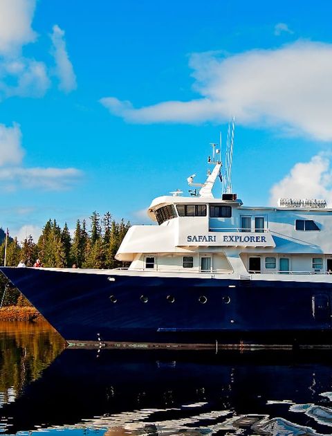 Adventure Cruises