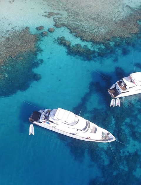 Diving Cruises