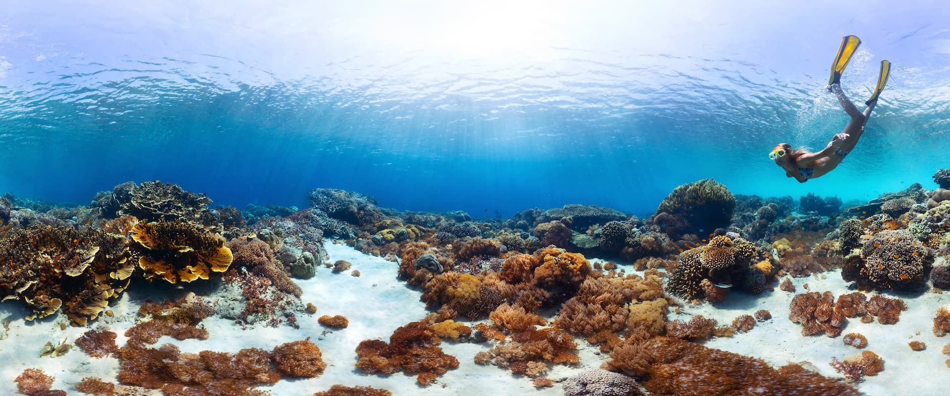 Best Places in the World to Snorkel