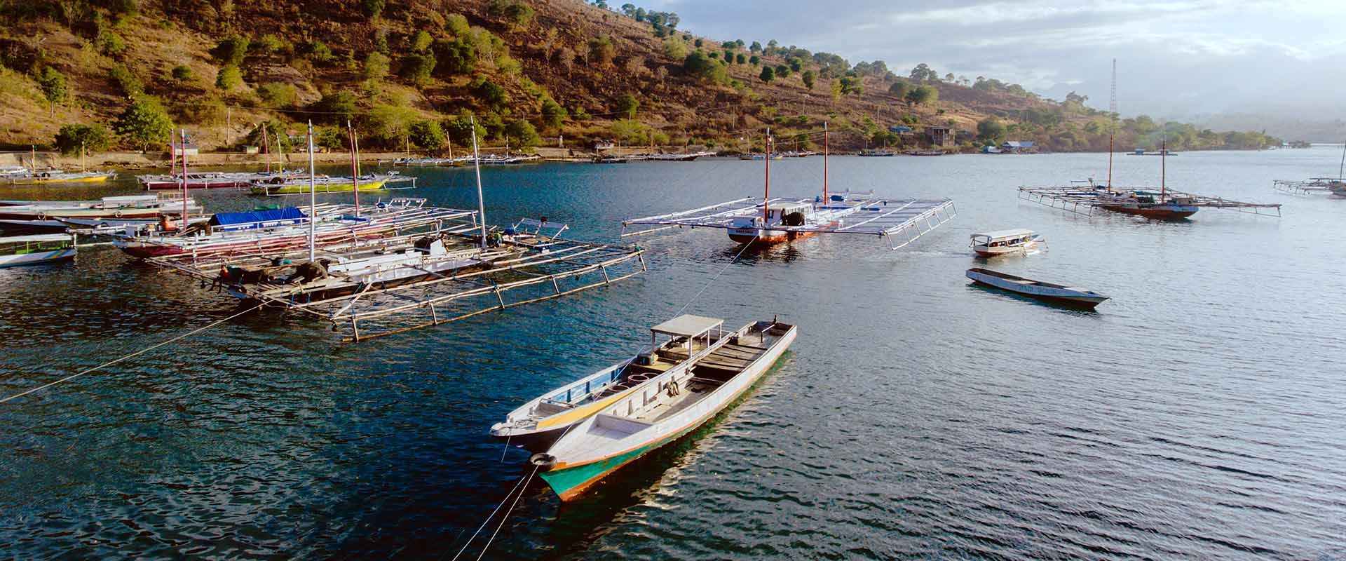 Bima Liveaboard Mergulho