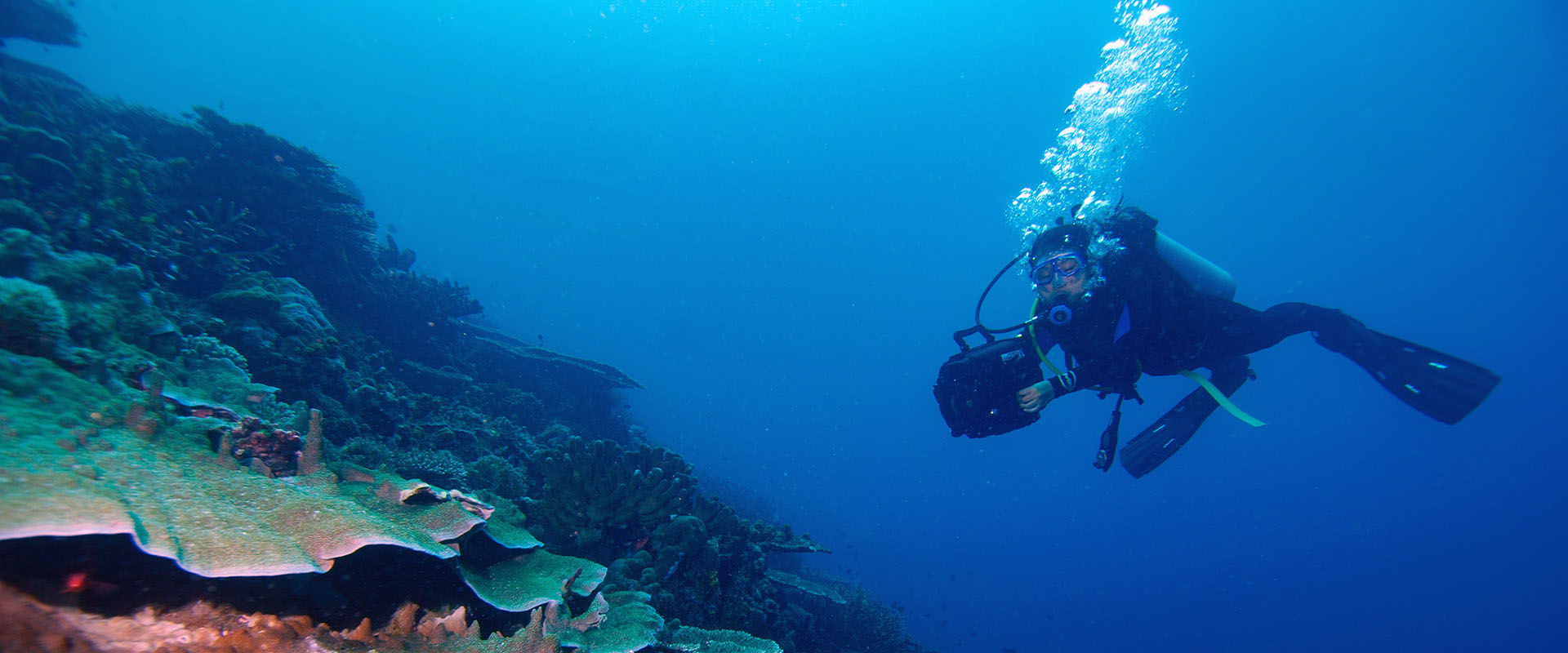 Halmahera Crociere subacquee