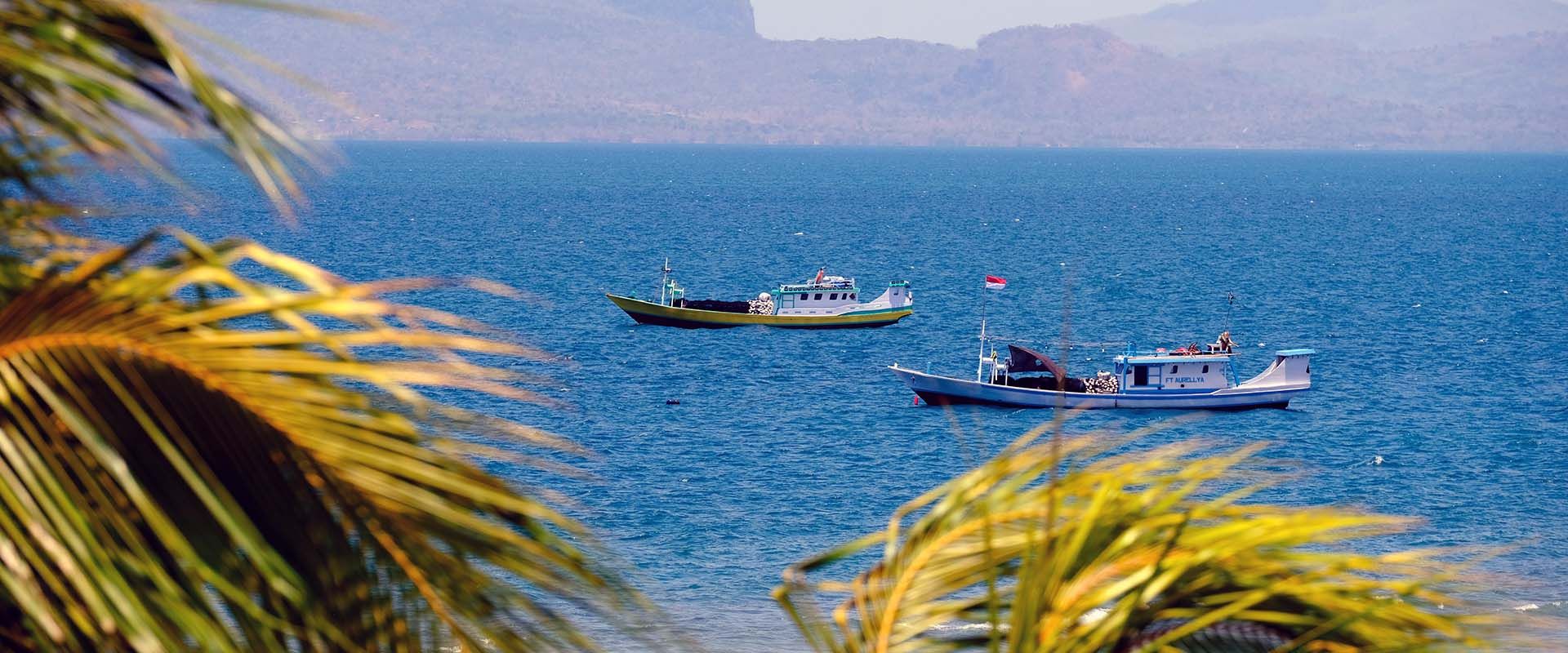 Kupang Crociere subacquee