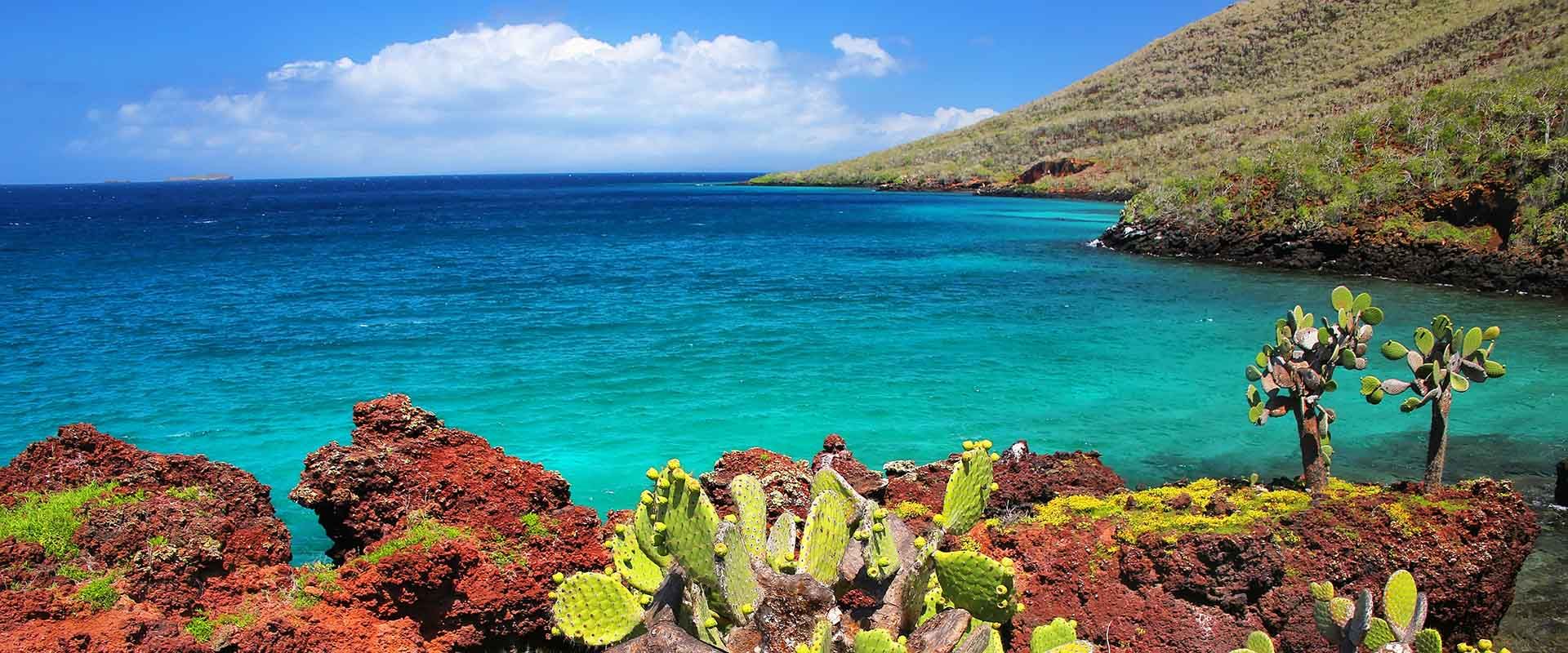 Cruzeiros de aventura na Ilha Rabida
