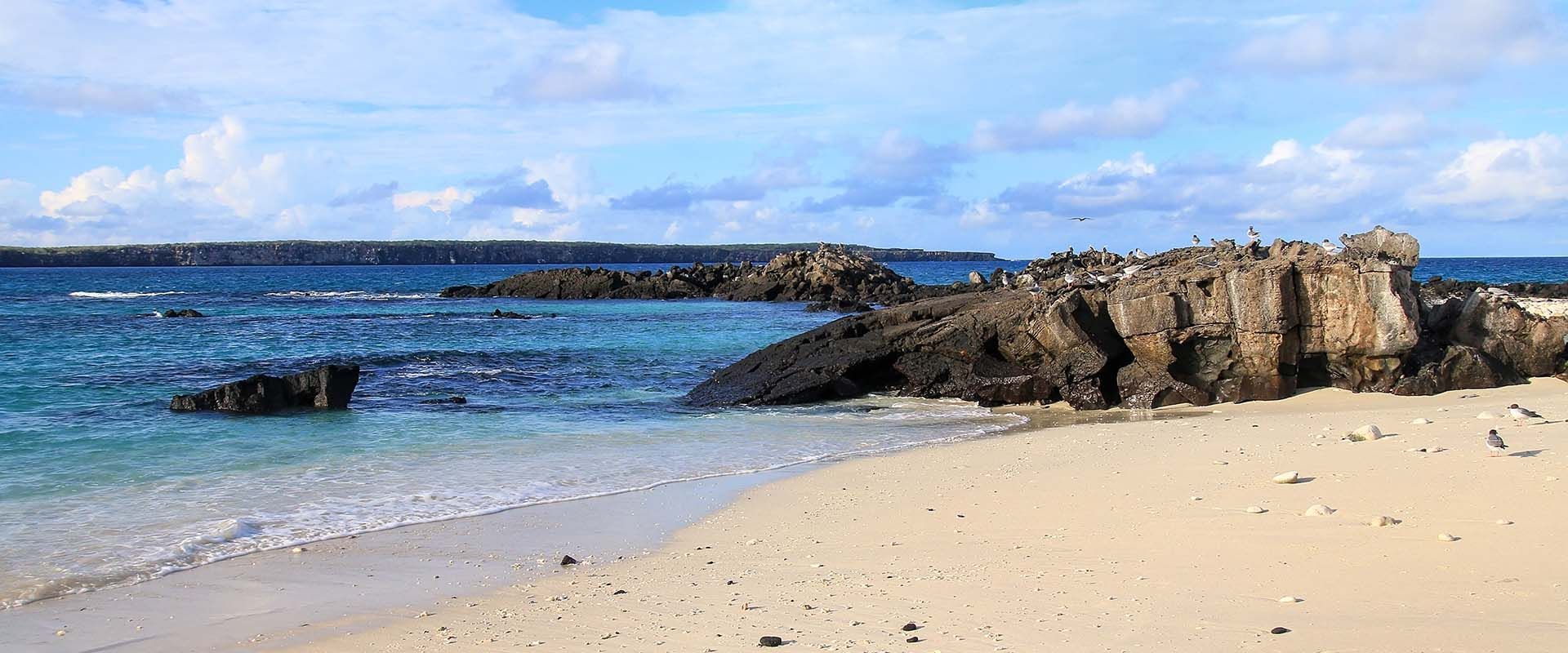 Darwin Bay Cruises met kleine schepen
