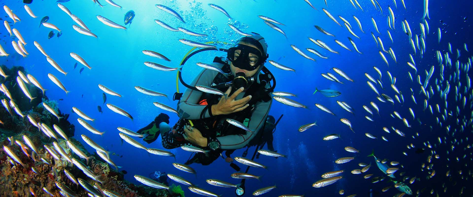 Monad Shoal Crociere Subacquee