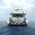 Blue Pearl Egypt