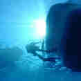 Diving