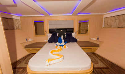 Master Lower Deck