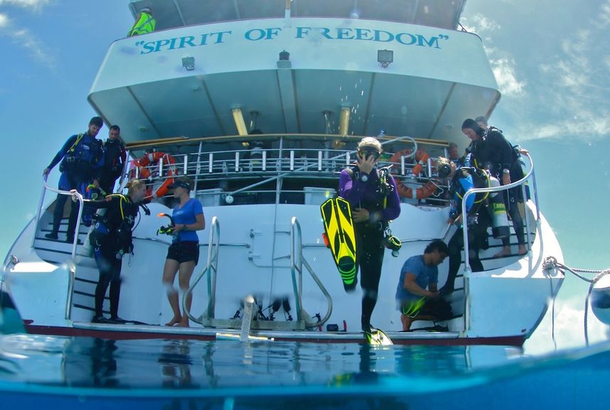 Plataforma de Mergulho - Spirit of Freedom