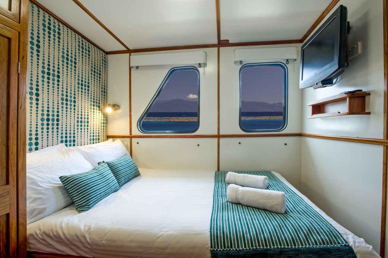 Ocean View Standard Cabin