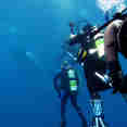 Diving