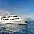 Spirit of Freedom