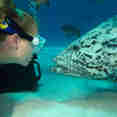 Marine Life - Spirit of Freedom
