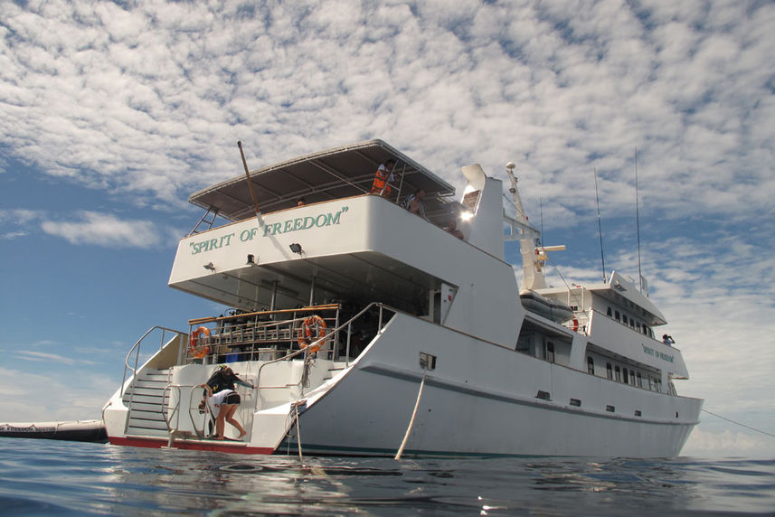 Cubierta de buceo - Spirit of Freedom