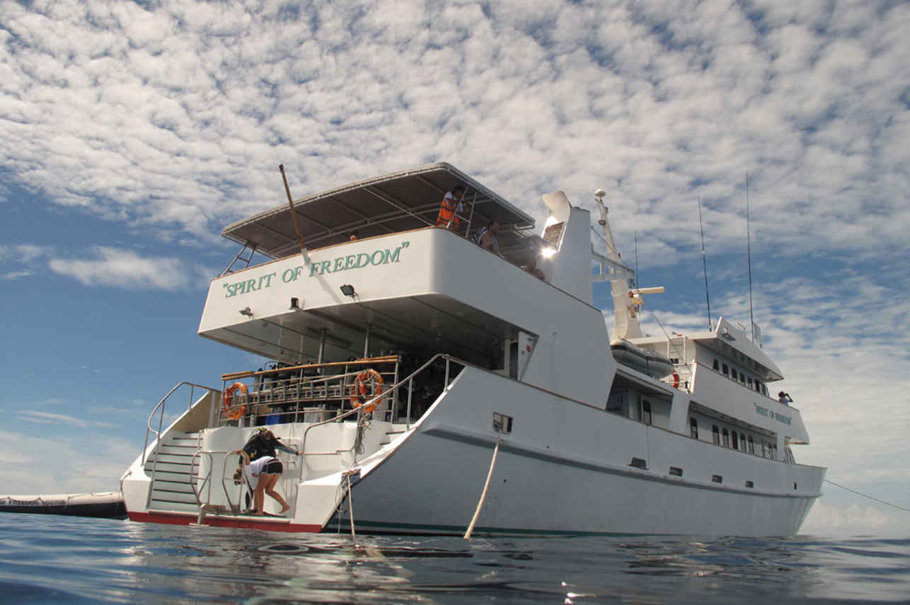 Plancia per immersioni - Spirit of Freedom