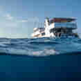 Spirit of Freedom