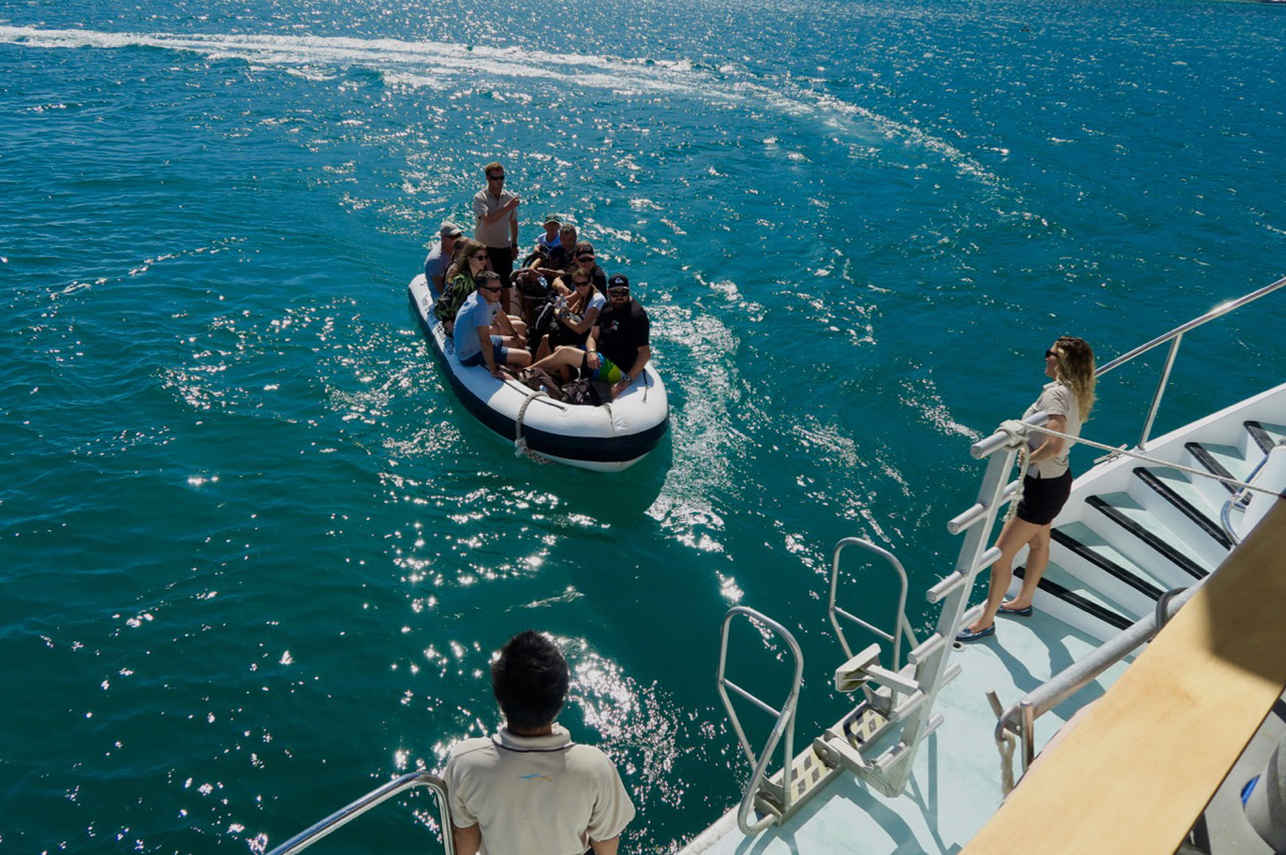Tender per immersioni - Spirit of Freedom