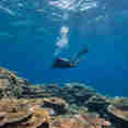 Diving