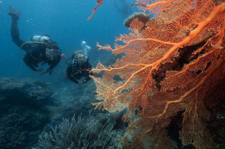 Diving