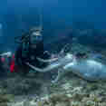Marine Life - Spirit of Freedom