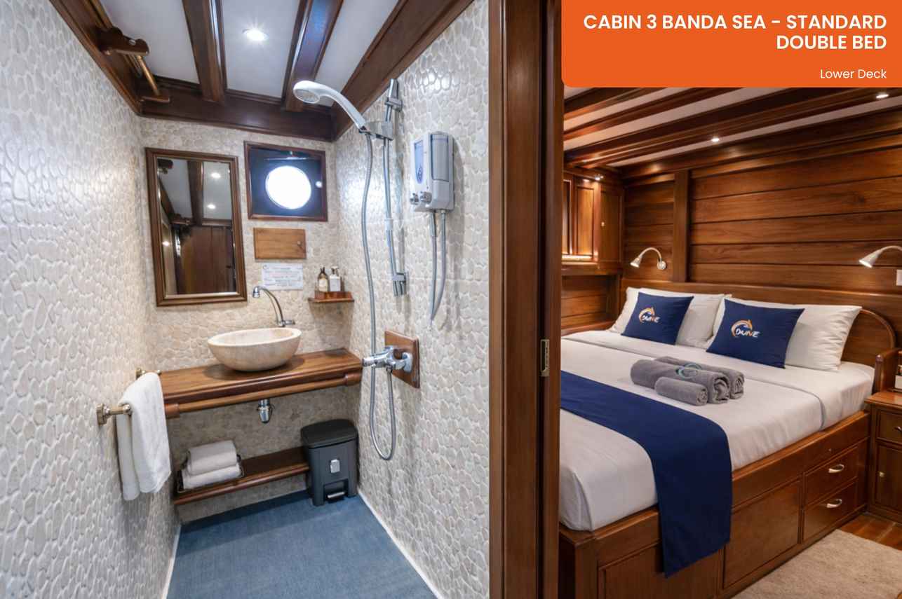Banda Sea Standard Cabin (#3)