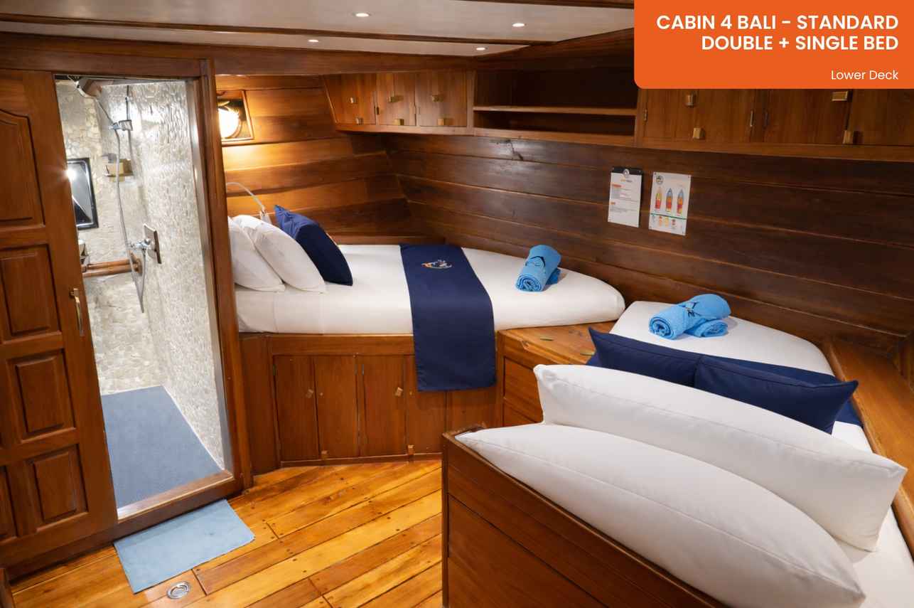 Bali Standard Cabin (#4)