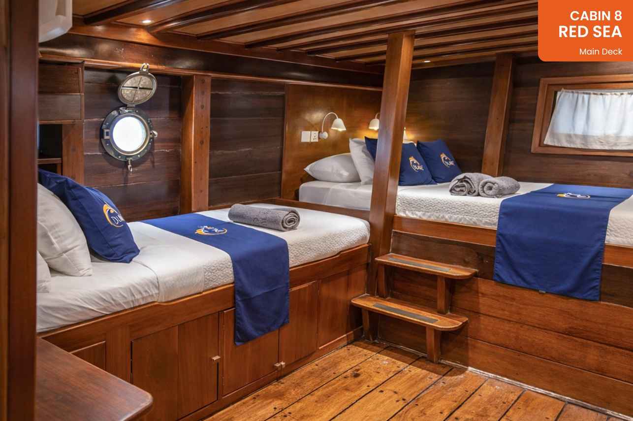 Red Sea Superior Cabin (#8)