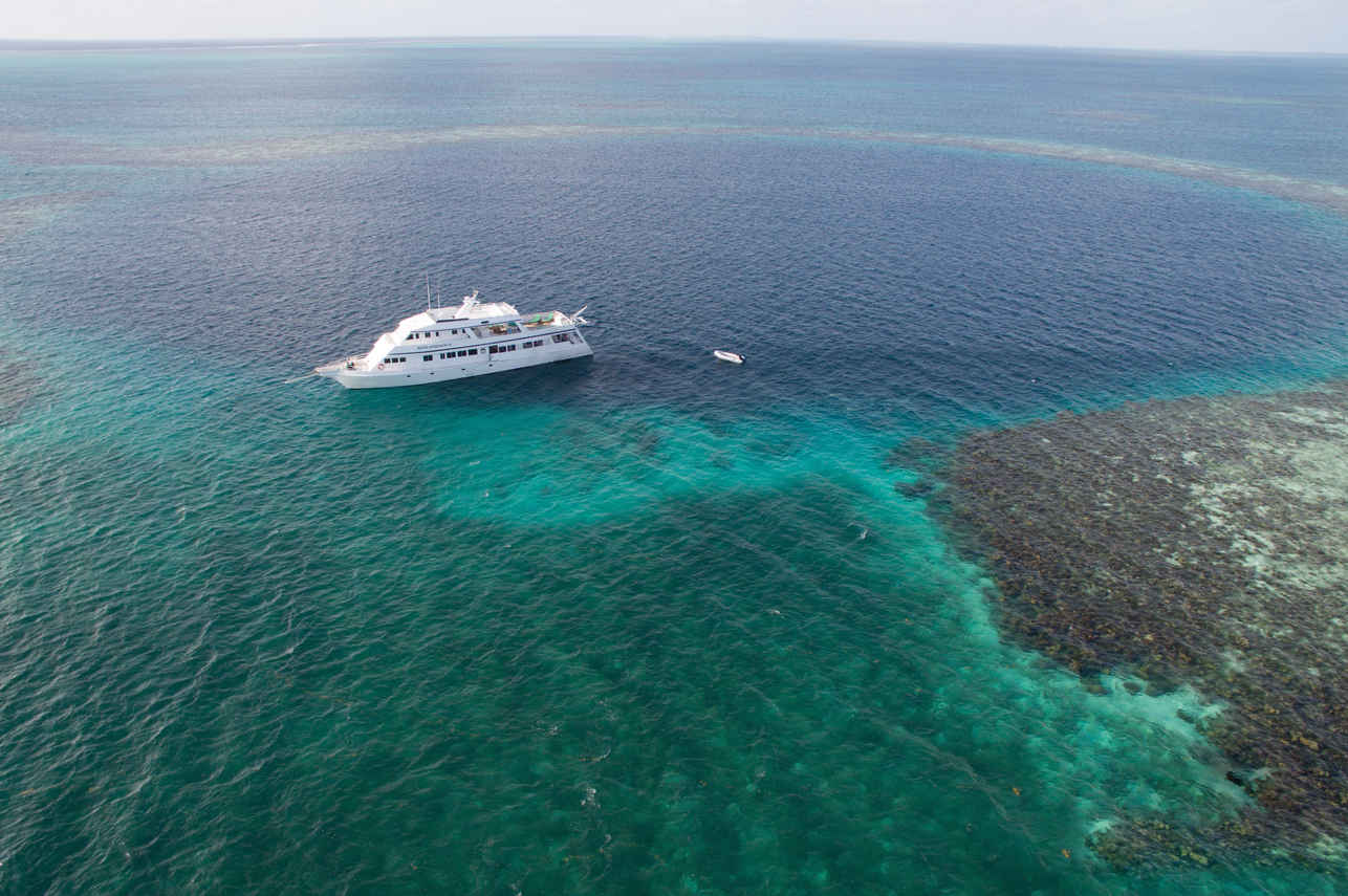 Belize Aggressor III