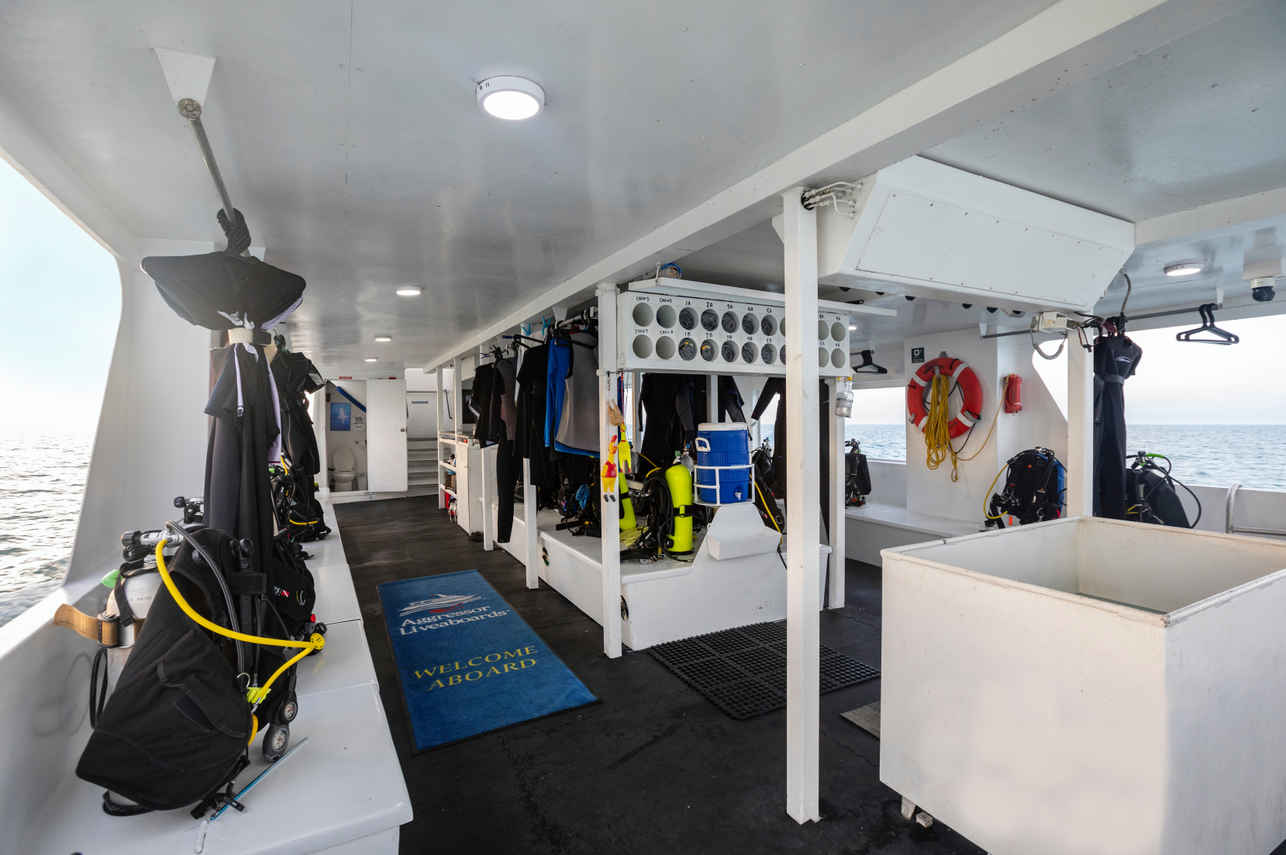 #divedeck  - Belize Aggressor III