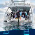 #diveplatform  - Belize Aggressor III