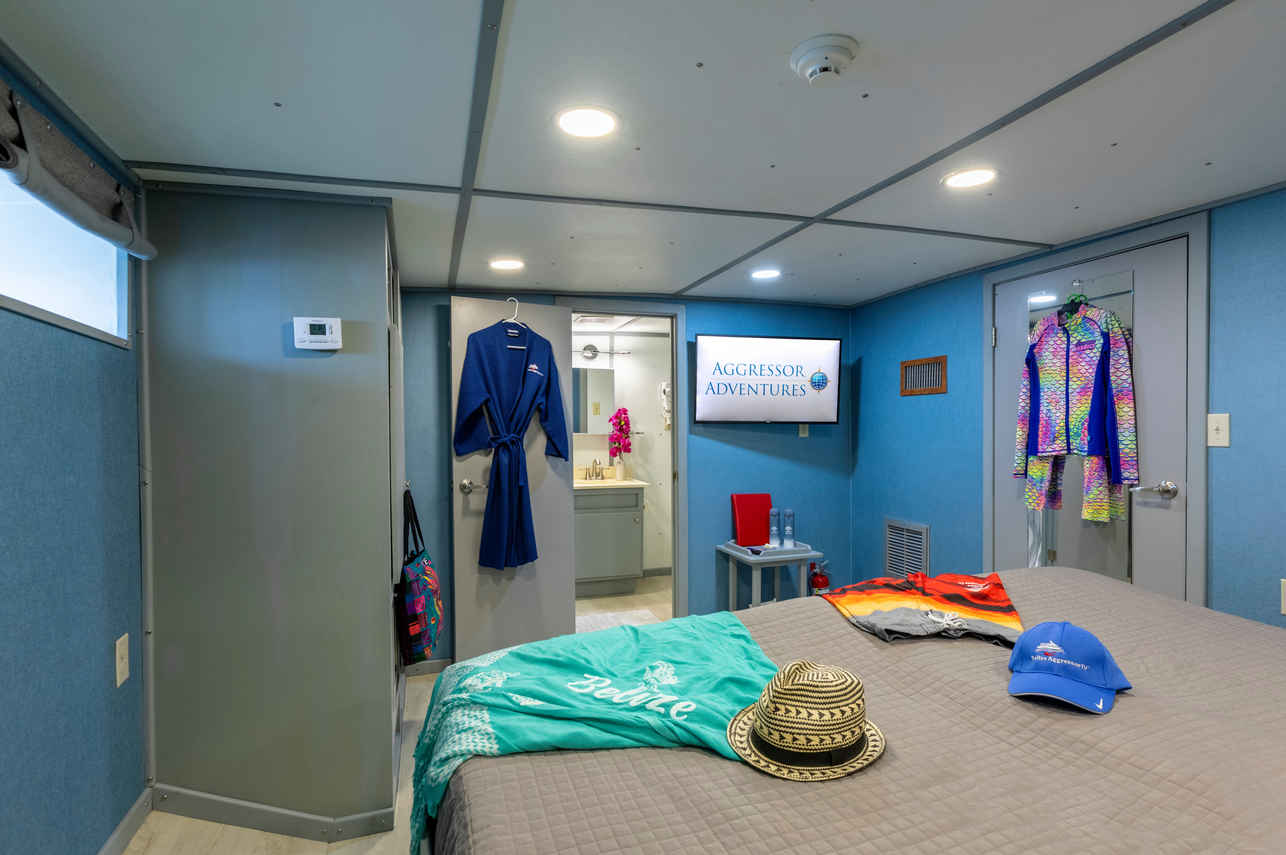 Master Stateroom